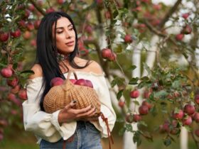 Apple Picking