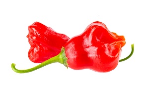 Bishop's Crown Pepper