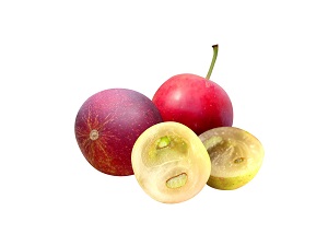 Cherry Guava