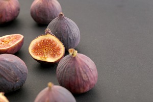 Dwarf Fig