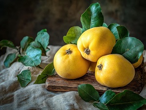 Eastern Quince