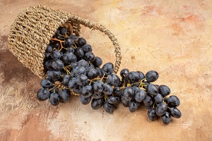 Eastern Wild Grape