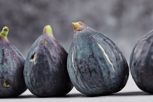 Edible Fig