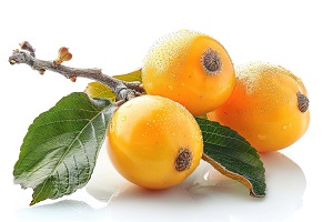 Eriobotrya Japonica (Loquat)