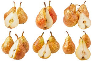 European Pear