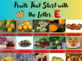 Fruit that Starts with E