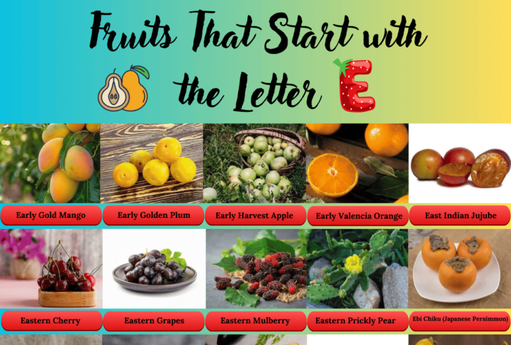 Fruit that Starts with E