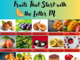 Fruits That Start With The Letter M