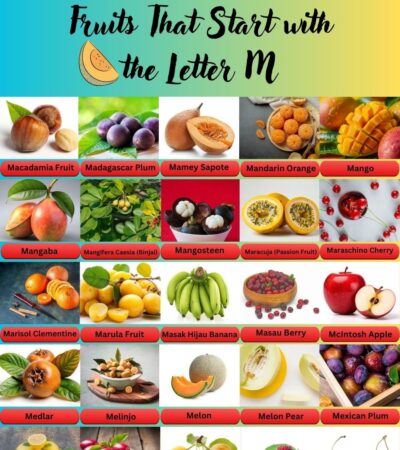 Fruits That Start With The Letter M