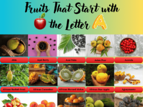 Fruits That Starts with the Letter A