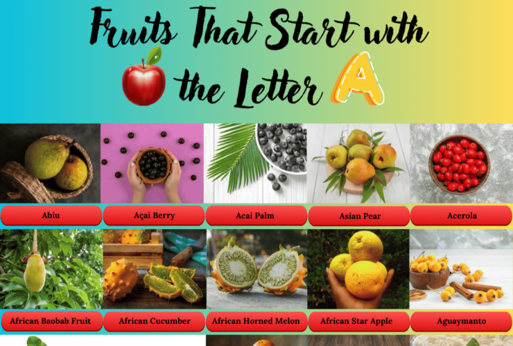 Fruits That Starts with the Letter A