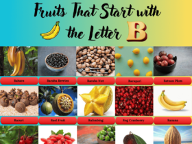 Fruits That Starts with the Letter B