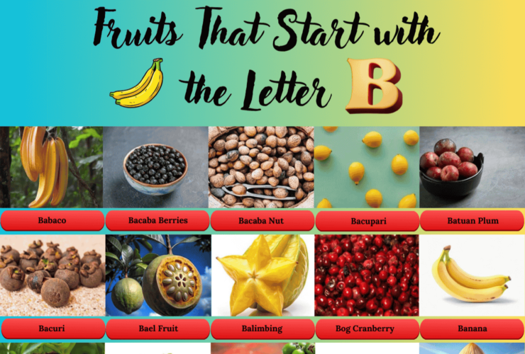 Fruits That Starts with the Letter B