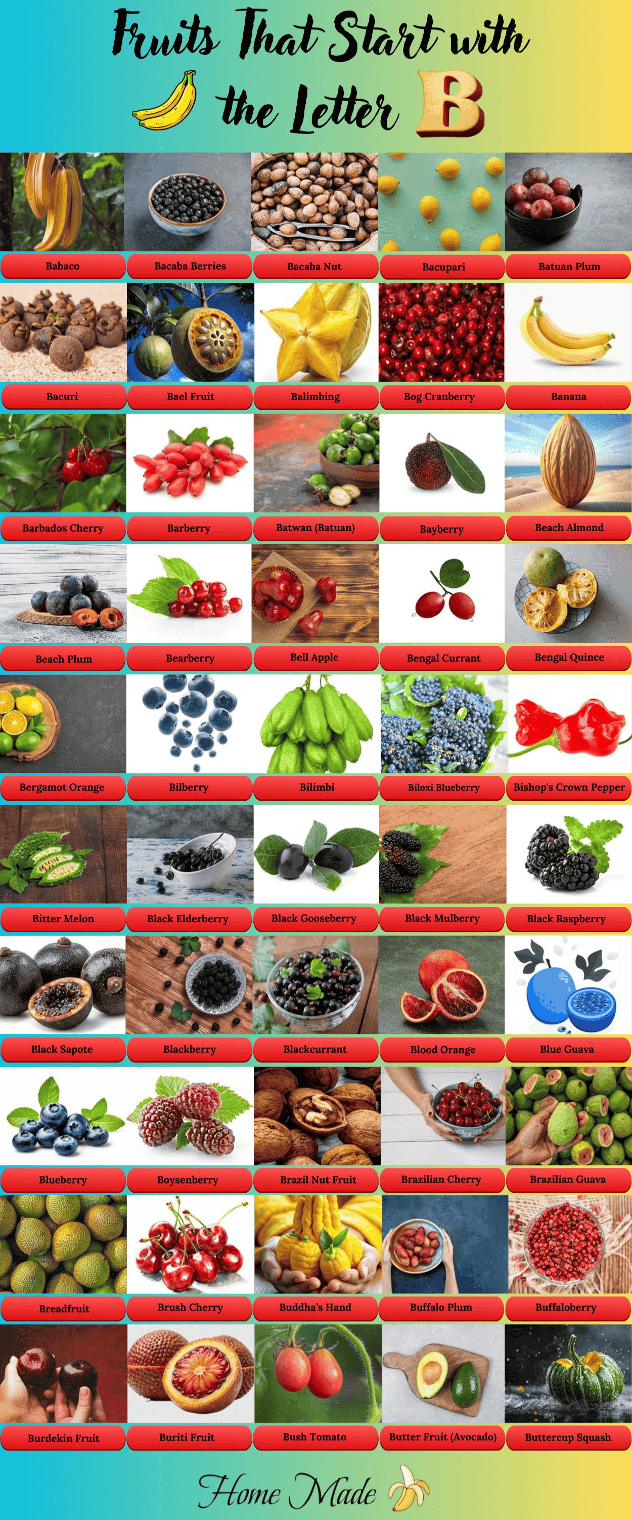 Fruits That Starts with the Letter B