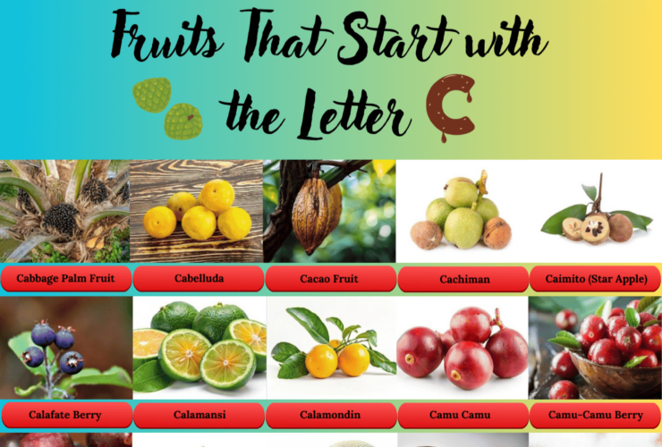 Fruits That Starts with the Letter C