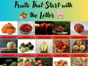 Fruits start with the Letter H