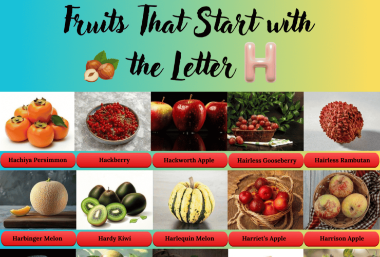 Fruits start with the Letter H