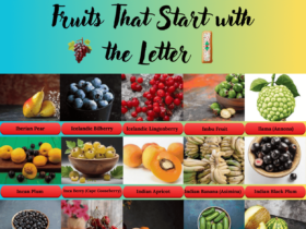 Fruits start with the Letter I