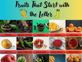 Fruits start with the Letter J