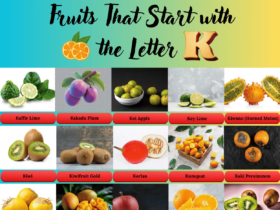 Fruits start with the Letter K