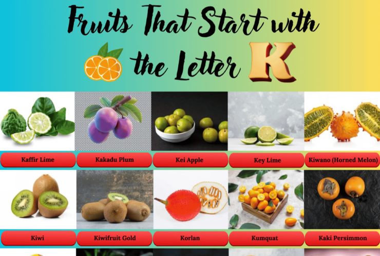 Fruits start with the Letter K