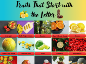 Fruits start with the Letter L