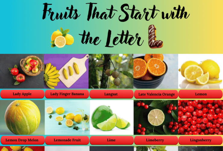 Fruits start with the Letter L