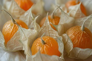 Golden Berries (Physalis)