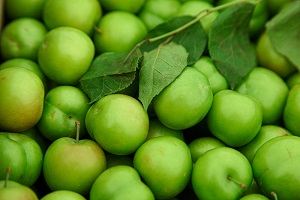 Green Plum