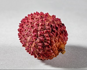 Hairless Rambutan