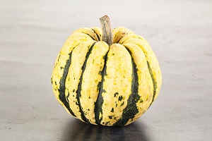 Harlequin Melon