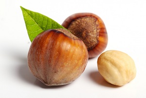 Hazelnut Fruit