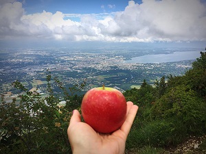 Hill Apple