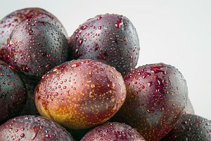 Jamaican Plum