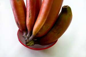 Jamaican Red Banana