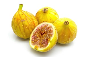 Jamaican Yellow Fig