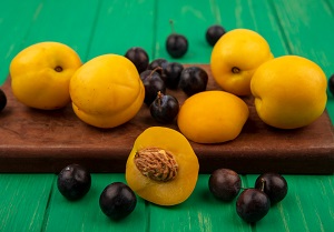 Jamaican Yellow Plum