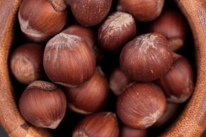 Japanese Chestnut Fruit