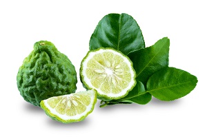 Kaffir Lime