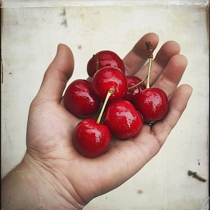 Kimura Cherry