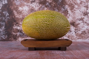 Kumagai Melon