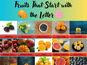 Fruits Starts with the Letter O