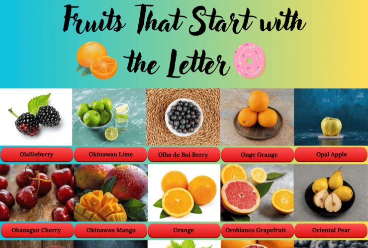 Fruits Starts with the Letter O