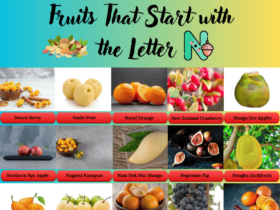 Fruits Starts with the letter N