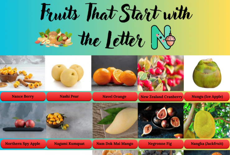 Fruits Starts with the letter N