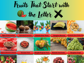 Fruits start with X