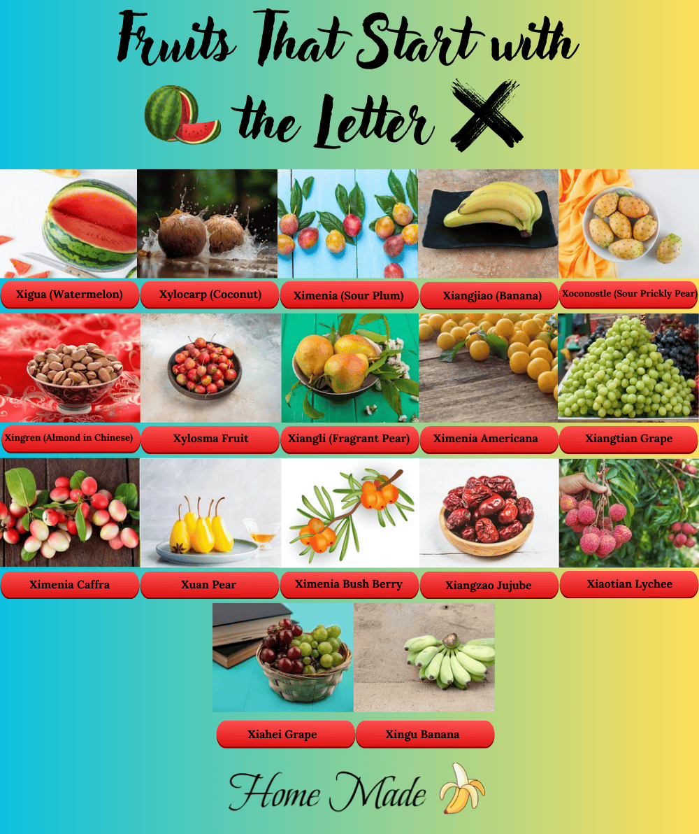 Fruits start with X