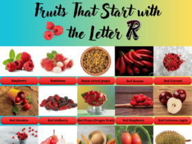 Fruits start with the letter R