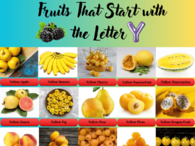 Fruits start with the letter Y