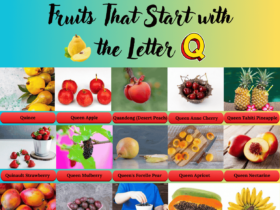 Fruits beginning with Q